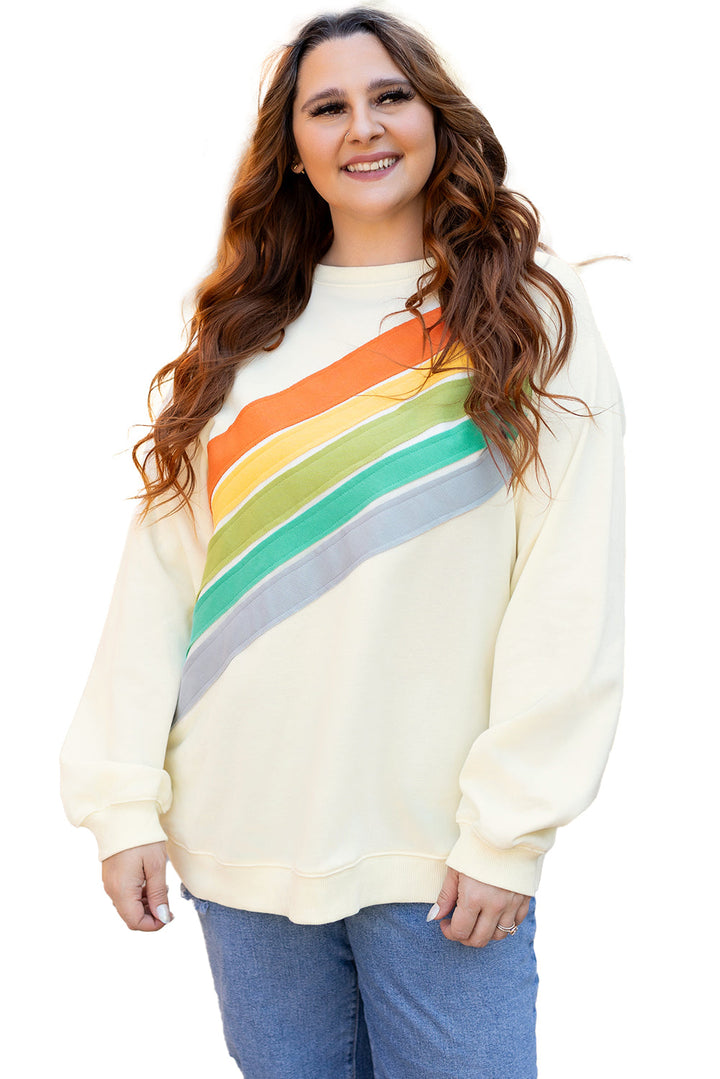 Rainbow Raglan Sleeve Crew Neck Plus Size Sweatshirt