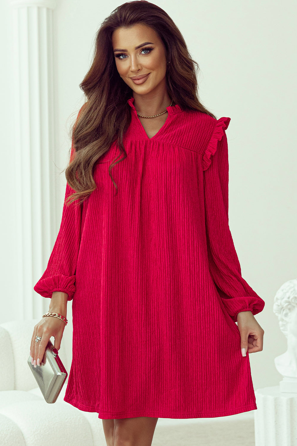 Textured Ruffled Trim V Neck Loose Fit Mini Dress