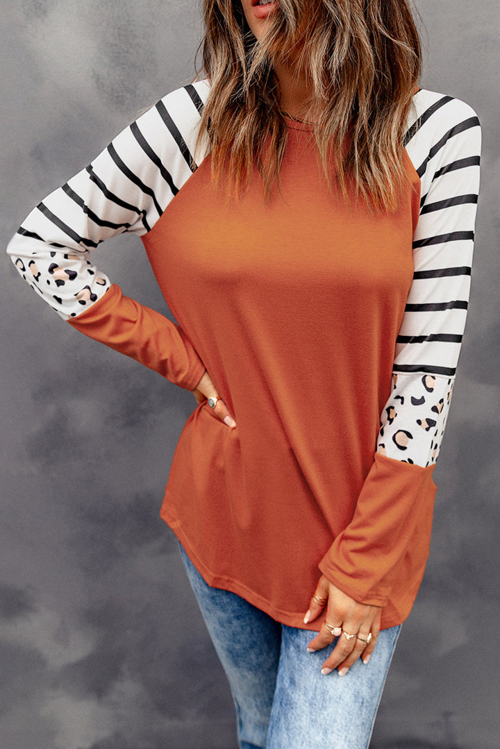 Striped Animal Print Colorblock Long Sleeve Top