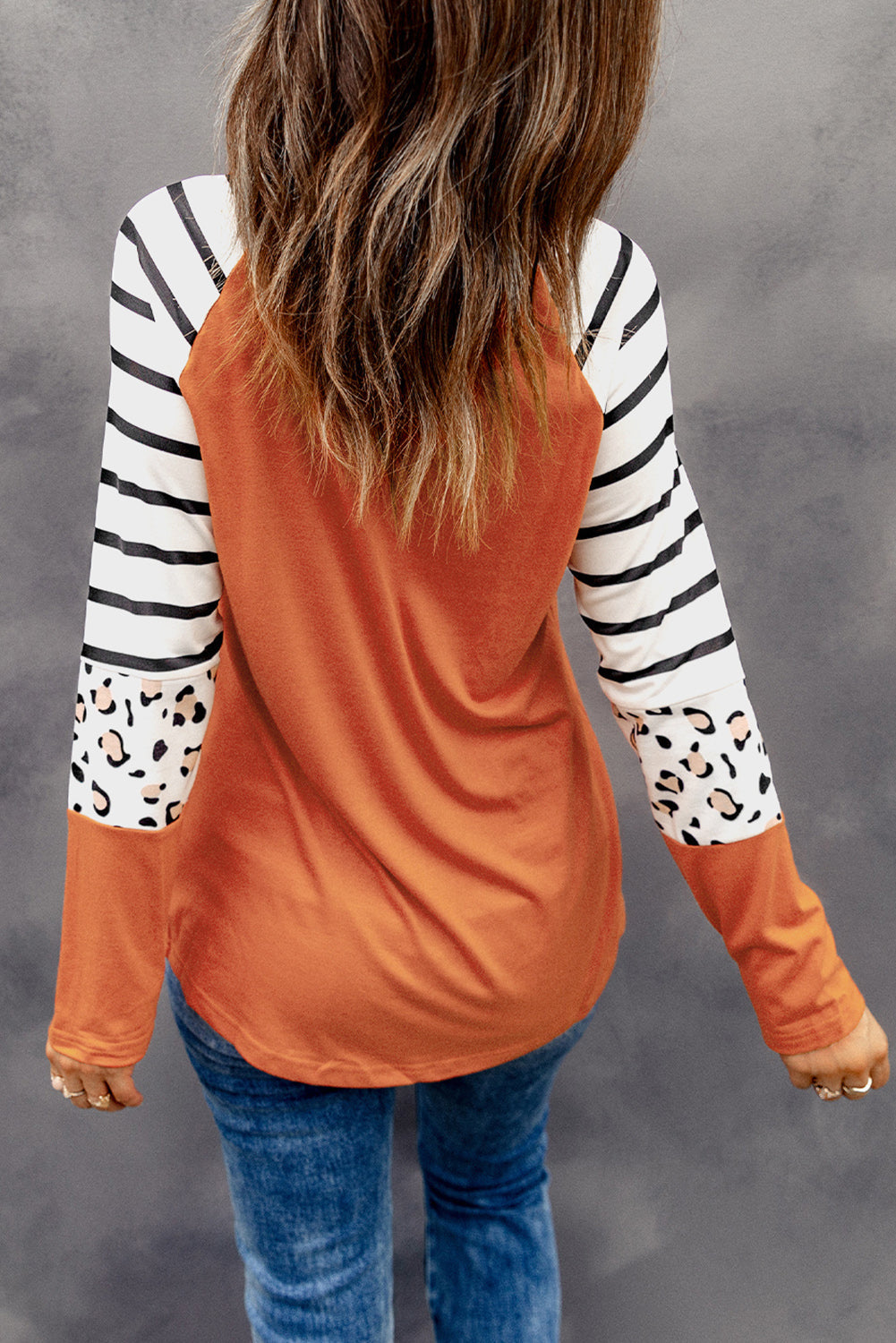 Striped Animal Print Colorblock Long Sleeve Top