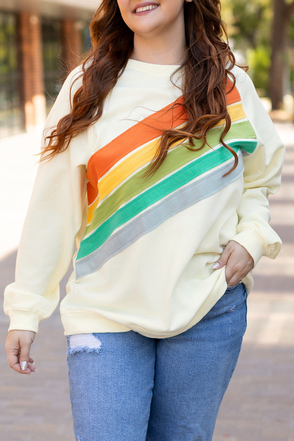 Rainbow Raglan Sleeve Crew Neck Plus Size Sweatshirt