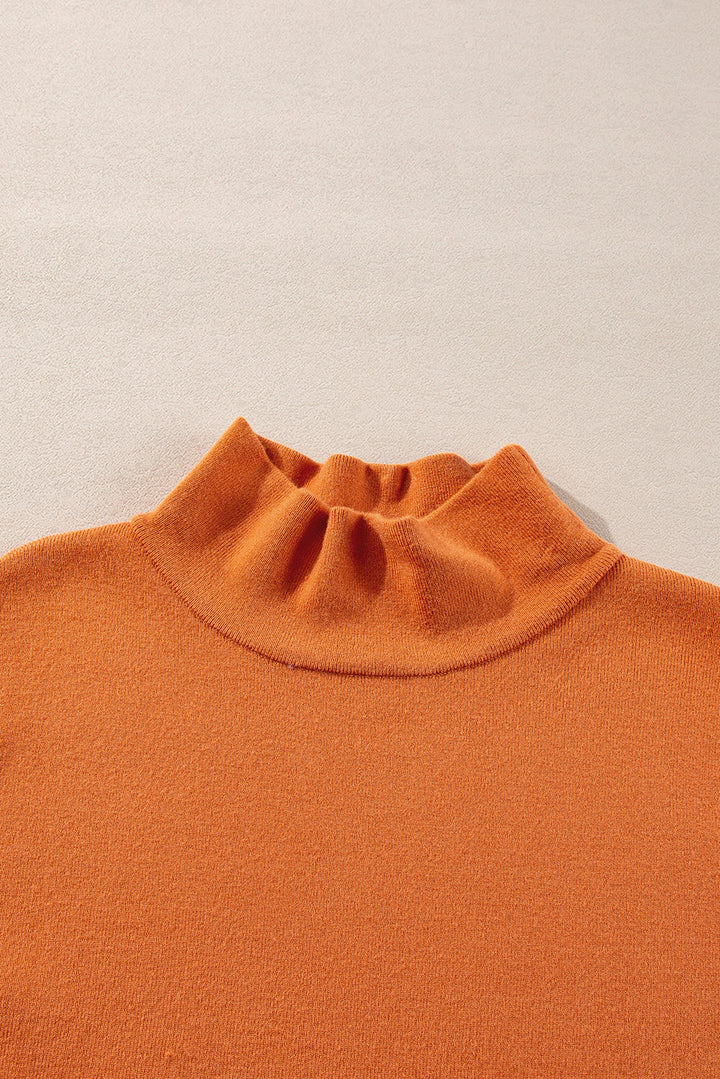 Color Contrast Edge Mock Neck Slim Fit Sweater