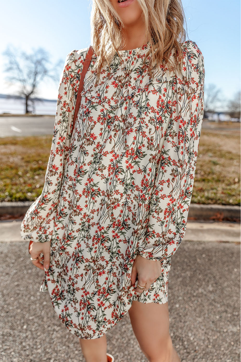 Floral Printed Long Sleeve Mini Dress