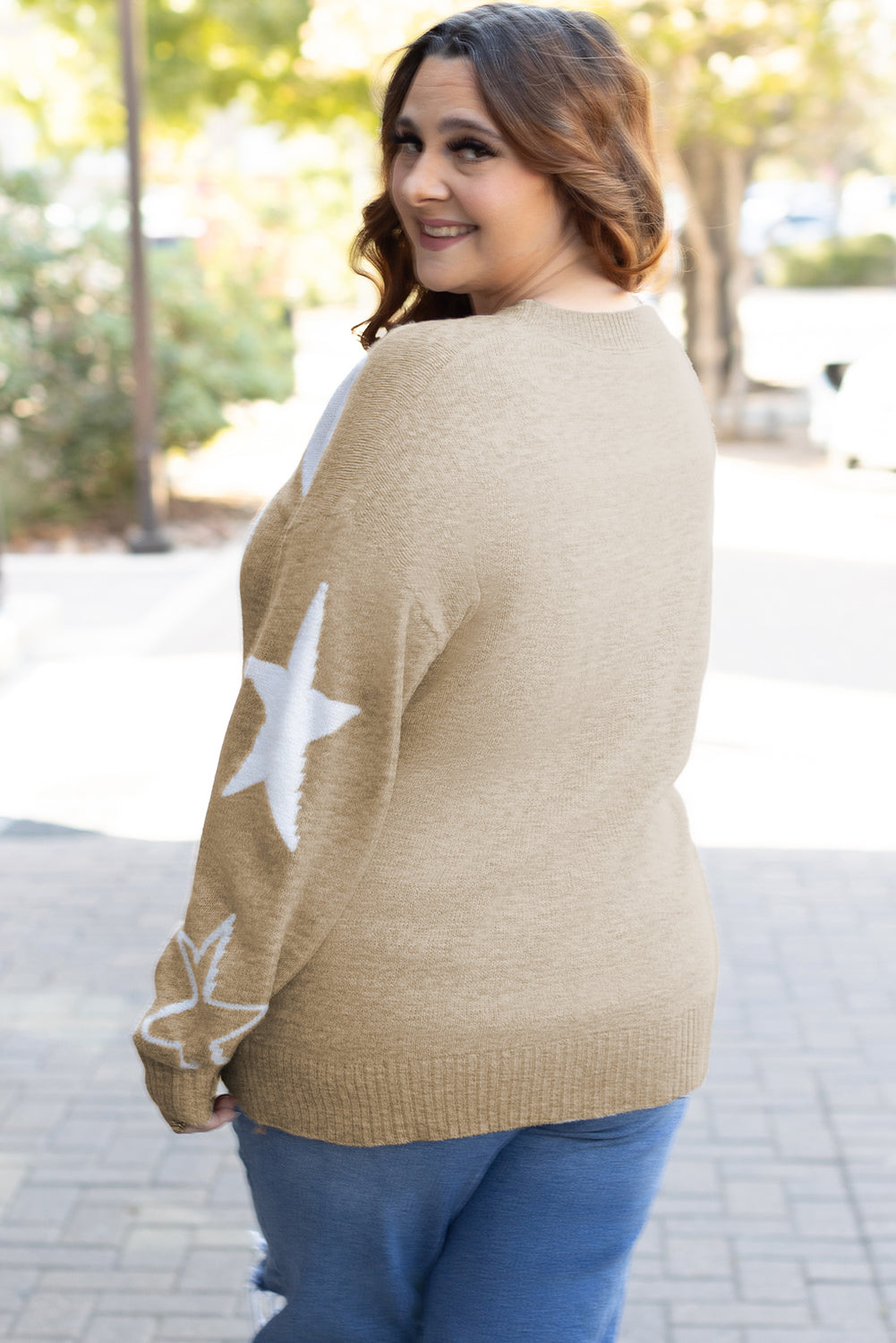 Star Pattern Drop Shoulder Plus Size Sweater