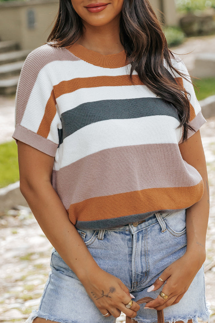 Striped Knit Crew Neck T Shirt Sweater