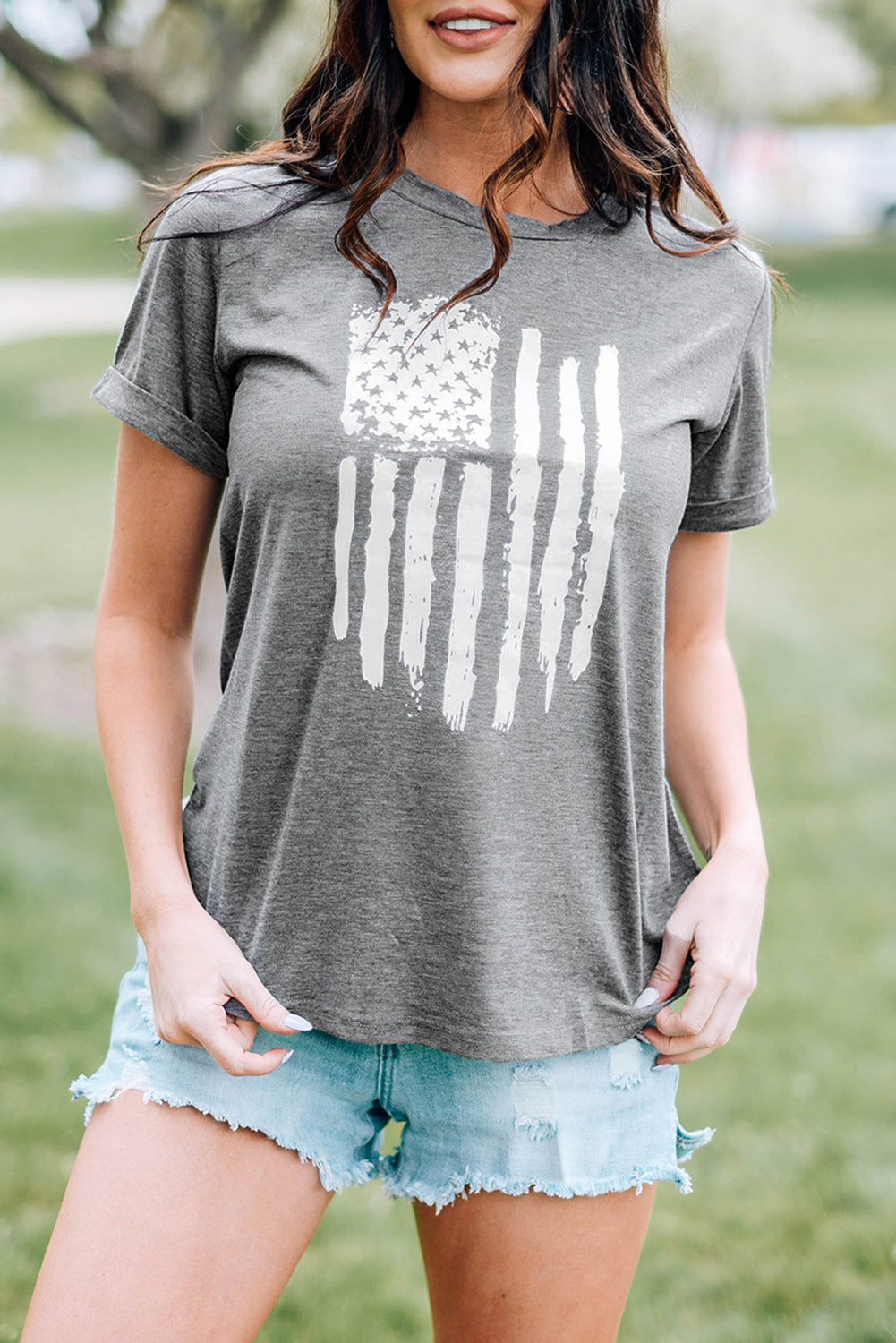 America Flag Print Crewneck T-shirt