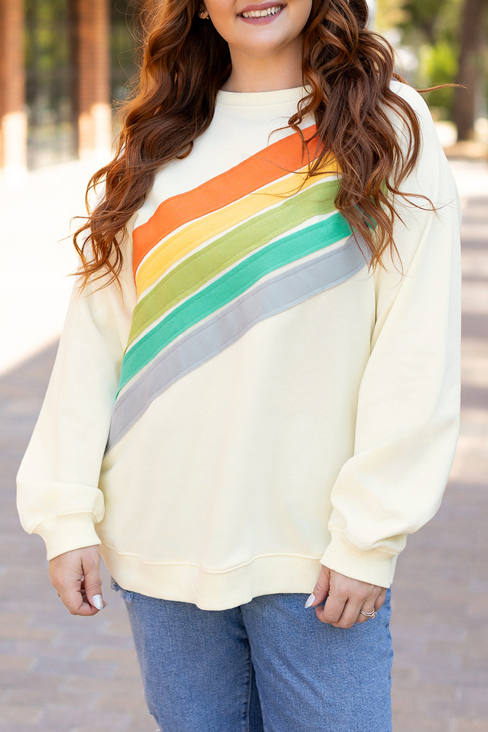 Rainbow Raglan Sleeve Crew Neck Plus Size Sweatshirt