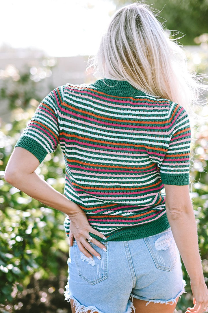 Striped Pattern Contrast Trim Pointelle Knit T Shirt