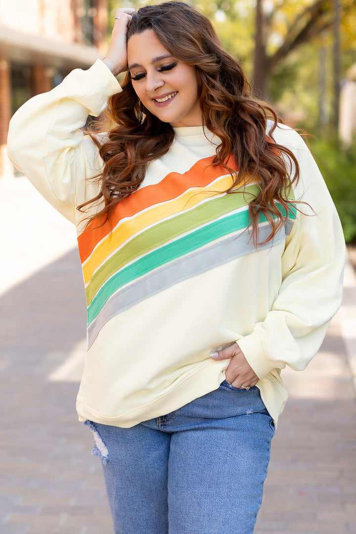 Rainbow Raglan Sleeve Crew Neck Plus Size Sweatshirt