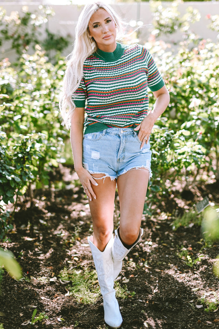 Striped Pattern Contrast Trim Pointelle Knit T Shirt